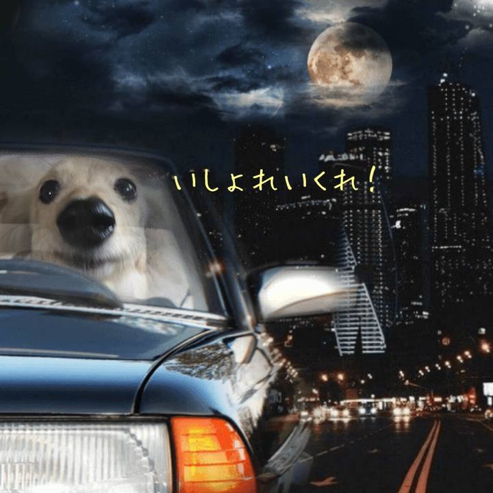 3141e419 ef3d 4b29 adfd b49579b5b308