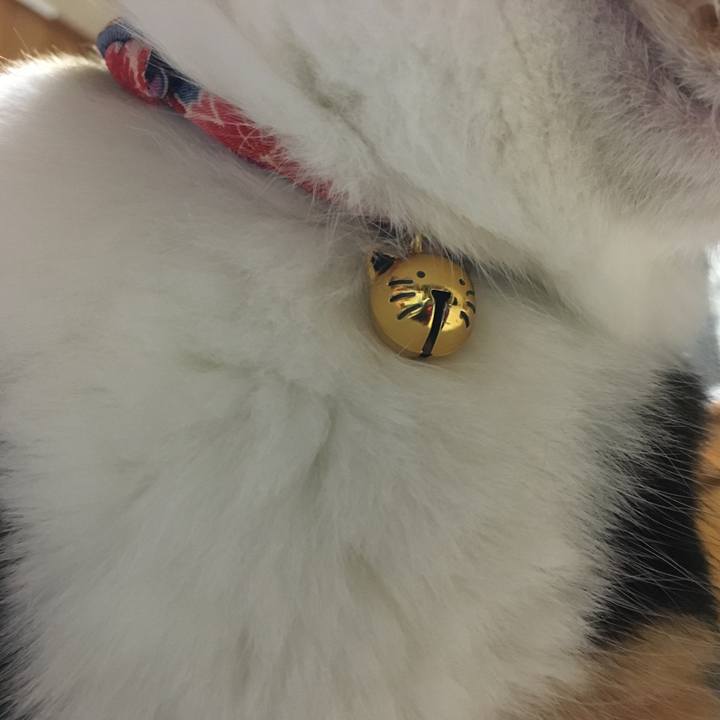 3143fafe 13bd 4e31 9fc2 050ace6d938b