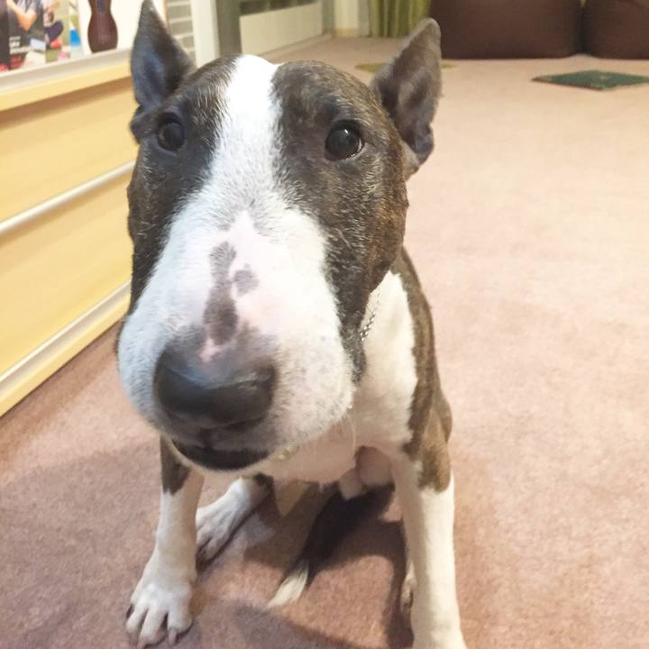 31443a95 3c70 433c 83c0 638c5b53c45b