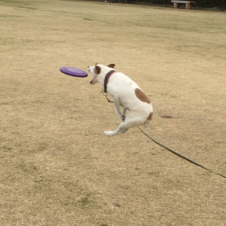 31449c85 62fd 4d35 bba8 16467f318b8a