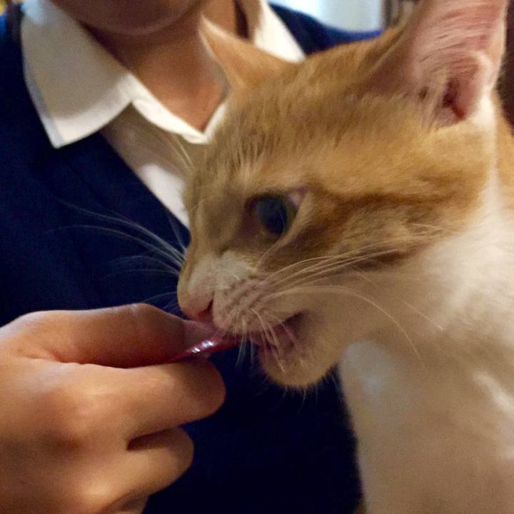 3145014b 473d 41c7 8b57 e882bb0a9842