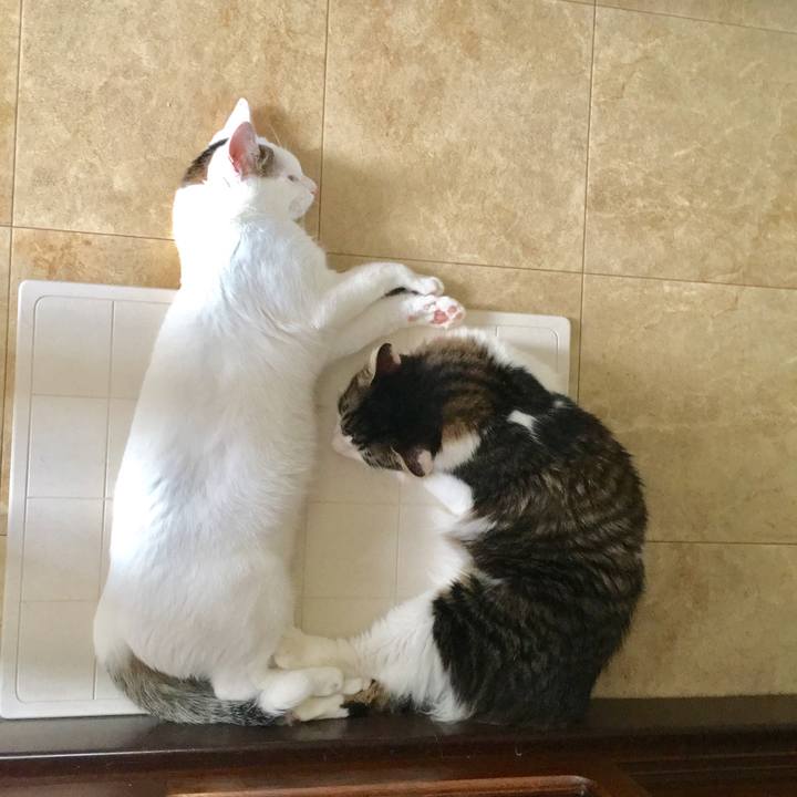 3145203f bfdf 4086 b136 cf9b2321e27b