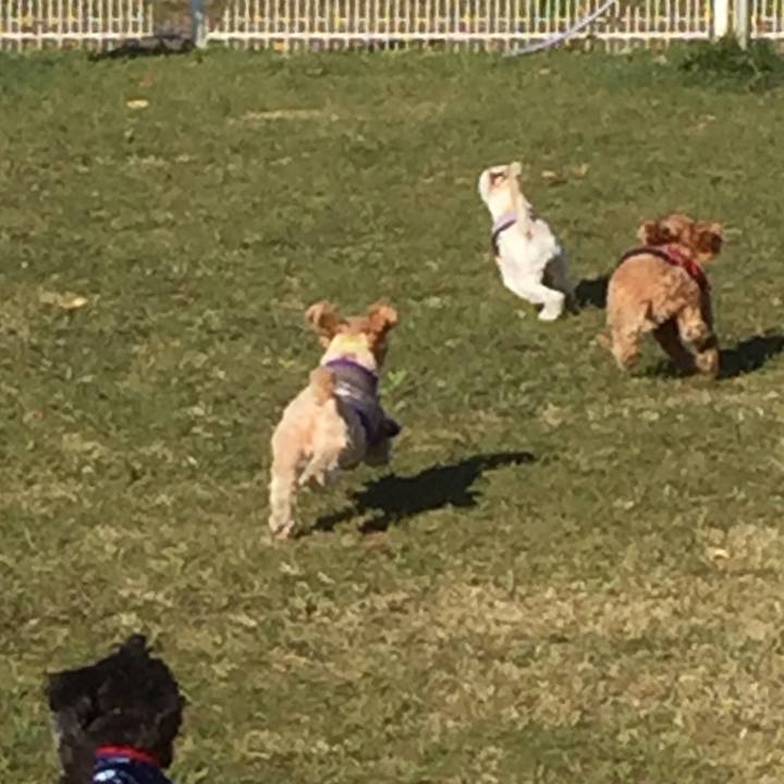 314580a9 5480 47cb bb07 f7b982184b47