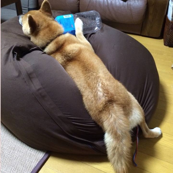 31458fca 70a2 4e0e a80a d922c13920dc