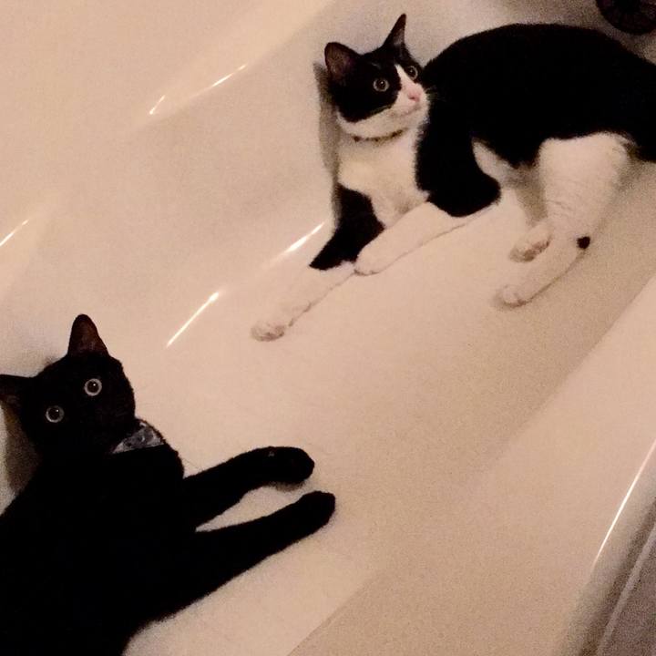 314590de 7ceb 422d 84c7 2a41461027b3