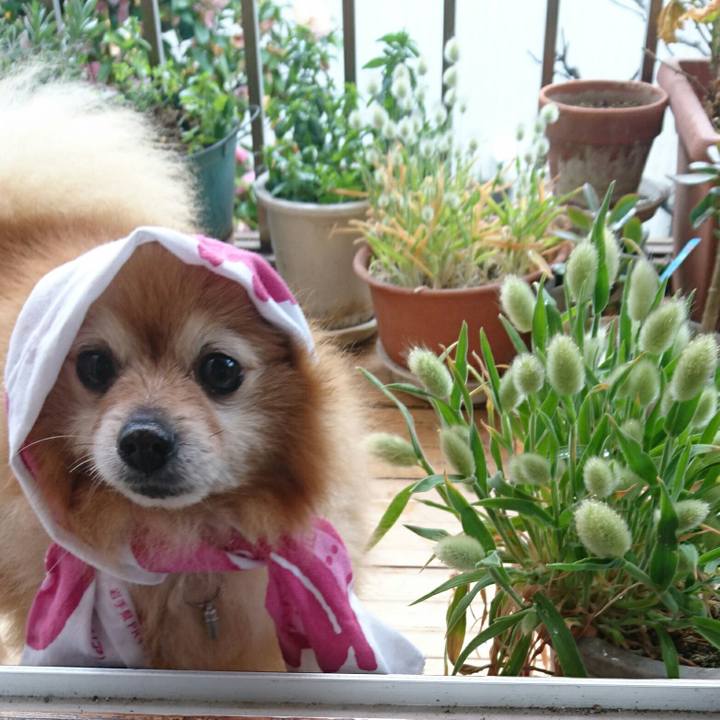 3146cee1 e891 4f71 adbe 1e53d4c5fc0a