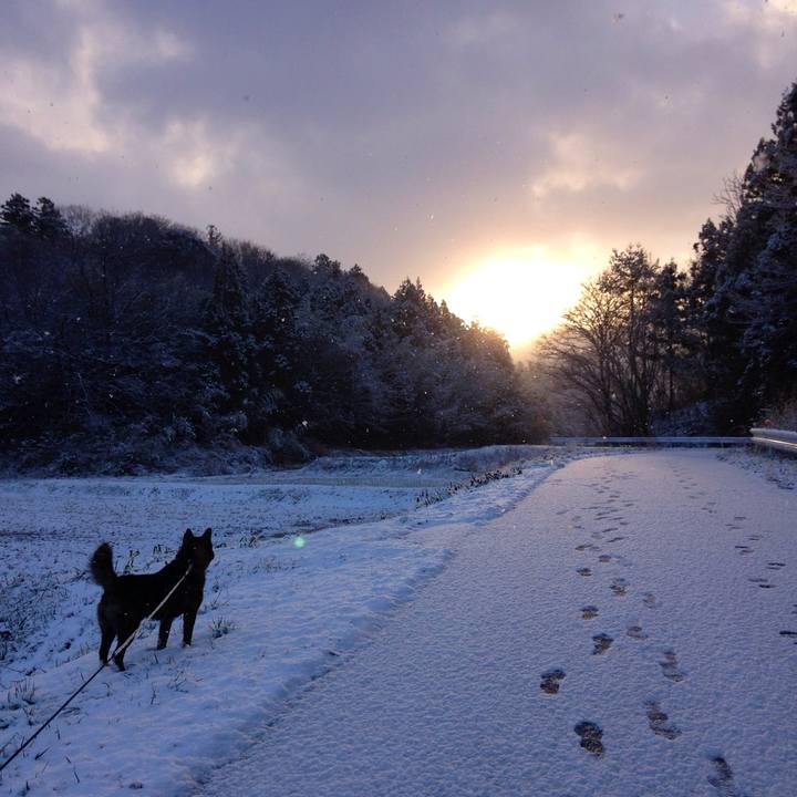 314710bc 185a 4345 8738 7d921863b074