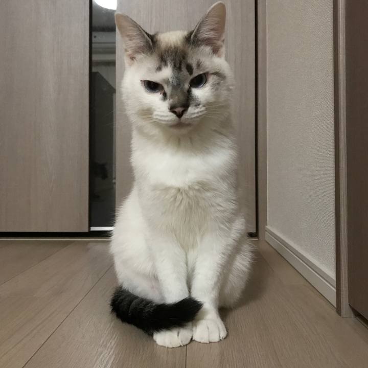 314809bd a09a 488a 9ab1 2f79c4bba852