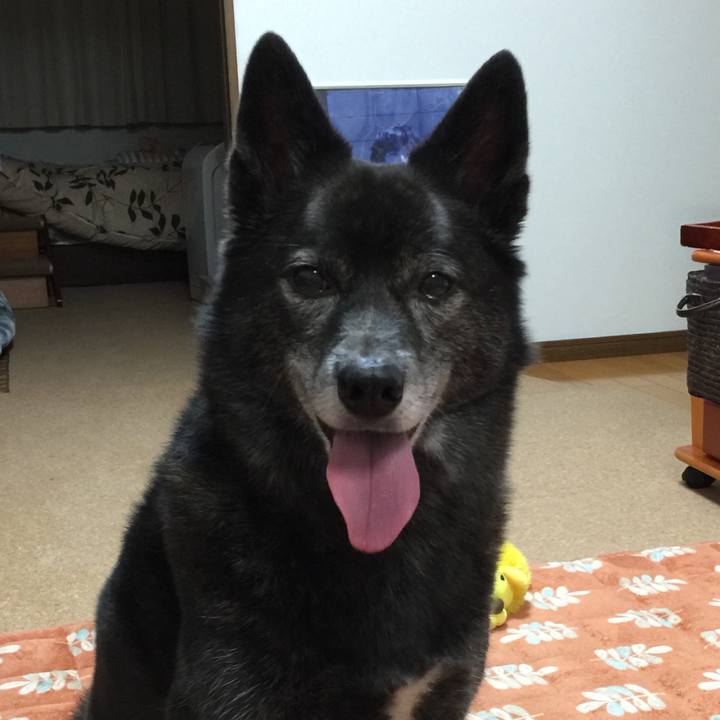 3148272a f70b 4b23 97ac 8584d7764562