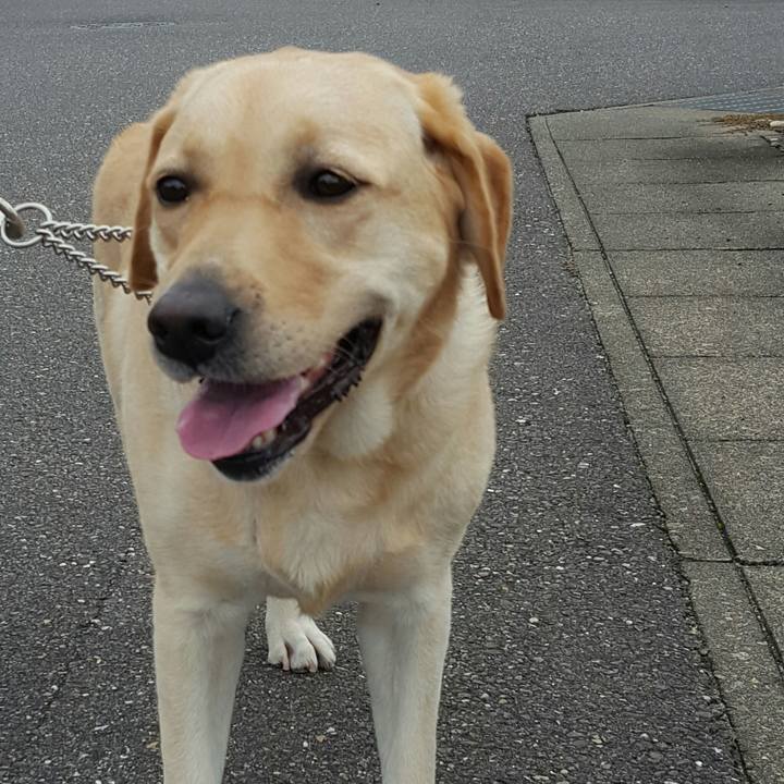 314860c9 e3d9 426c a987 580f4afc563c