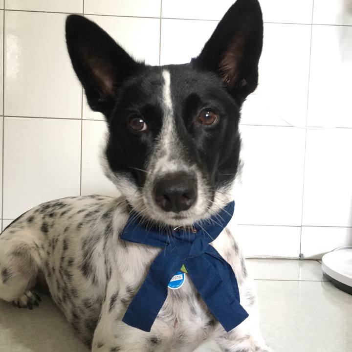 3149a5f7 c172 4543 8f82 37eb41e868ef