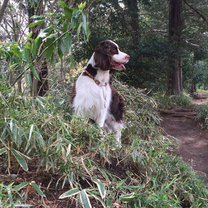 3149cf8c 0eb3 4b1c 86d9 ac6abfcb21d9