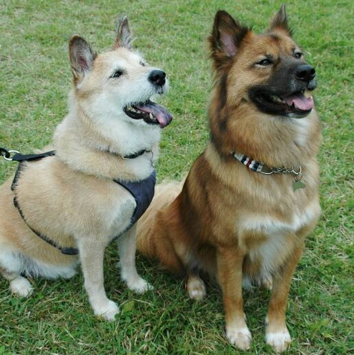 314aed02 7750 4f34 944b b6422f3576b4