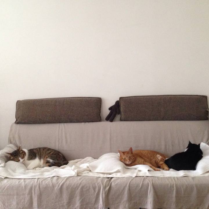 314b63a2 0658 4f14 98f4 ed5df9221909