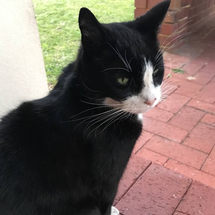 314b8168 263c 4c25 93fe eb2a1ab3defc