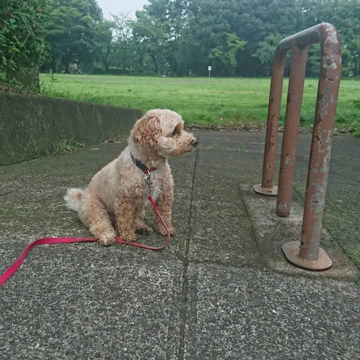 314b9ca3 d6fc 45b1 be6d 4da38aab7f2a