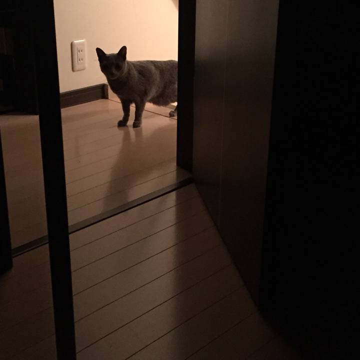 314ba05f 2e5a 4b99 aac8 383dca579f32