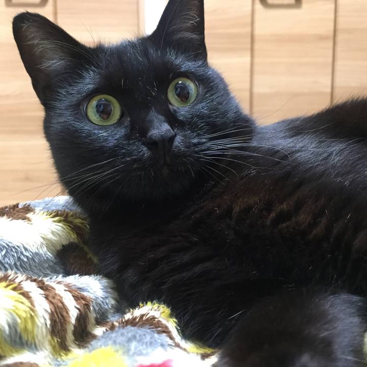 314c2d23 f5fa 4e62 9975 ffe91dbf93cf