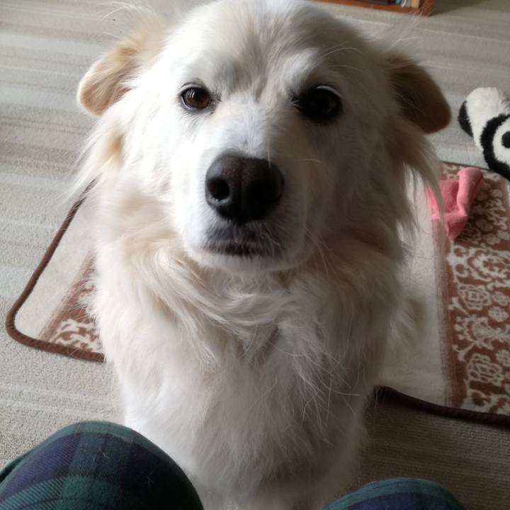 314c51fd 4d0a 41af b4fa 7160327c515d