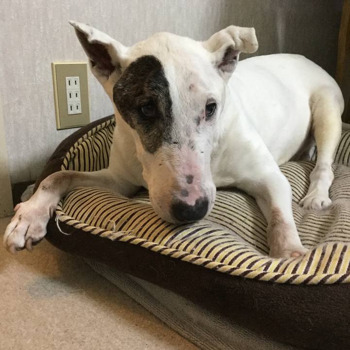 314d668f 251c 4129 be40 632aed1beab3