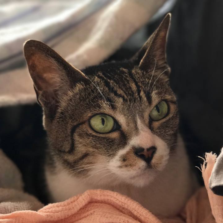 314d9266 1c21 4c63 b15b 8619561fd628