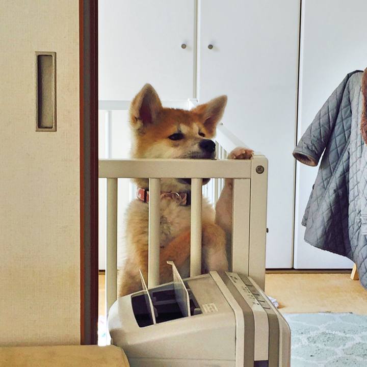 314e2056 fddd 4533 9668 8d3729bdd99f