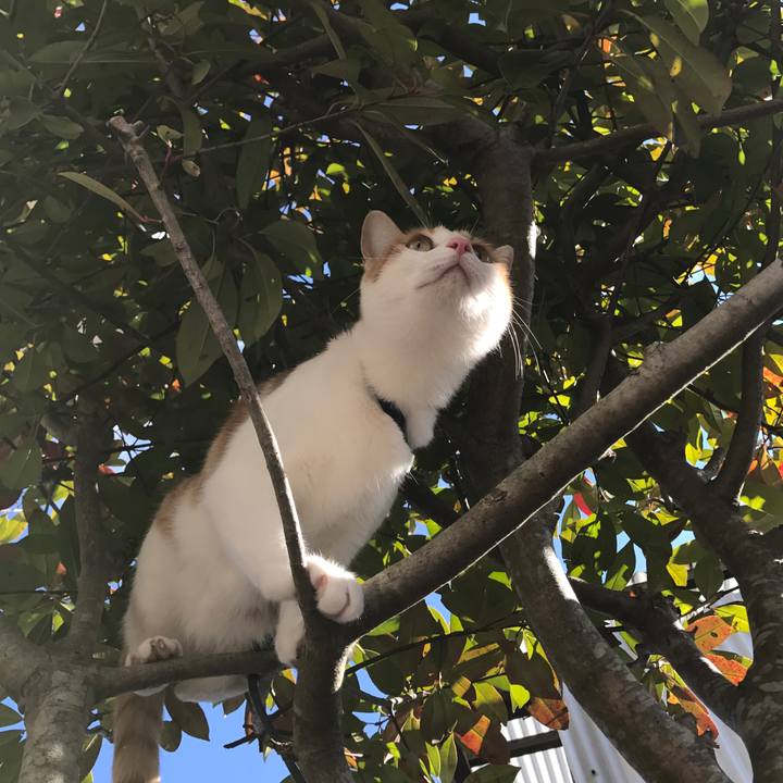 314eb493 9fdb 4a38 93ff 6279e409a65d