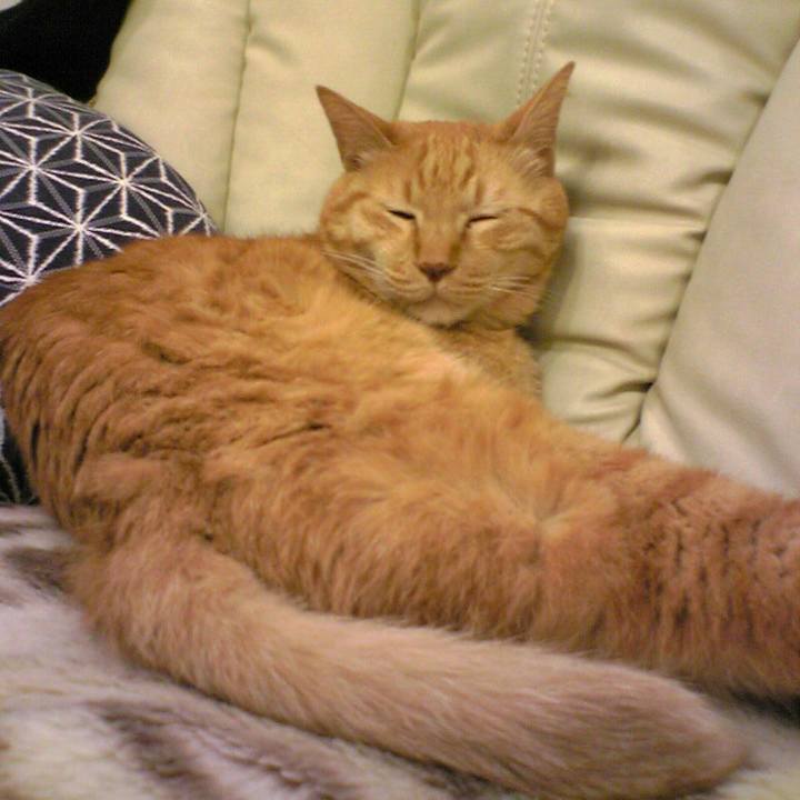 314f268e 7a74 42a8 8b8c 3cb6f50370fb