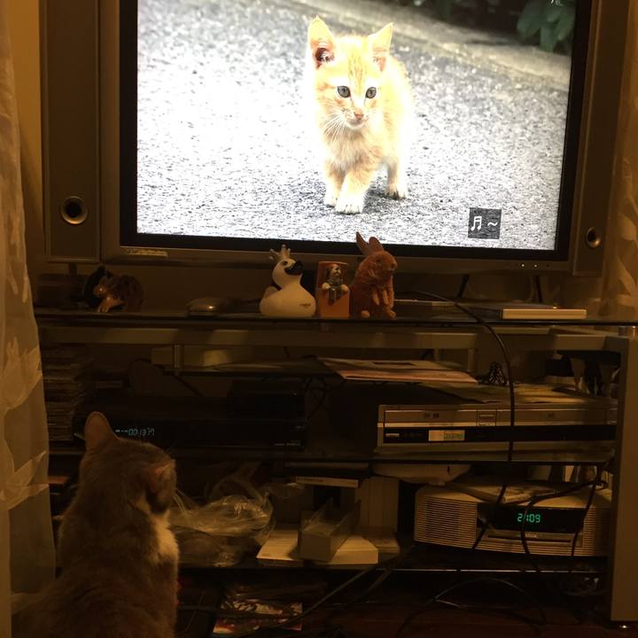 314f3743 da0e 4279 8acb 3da5610b4de6