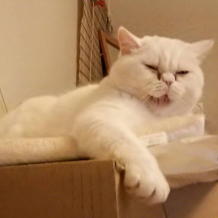 314fe7f8 8765 4212 b4b0 de10d9465516