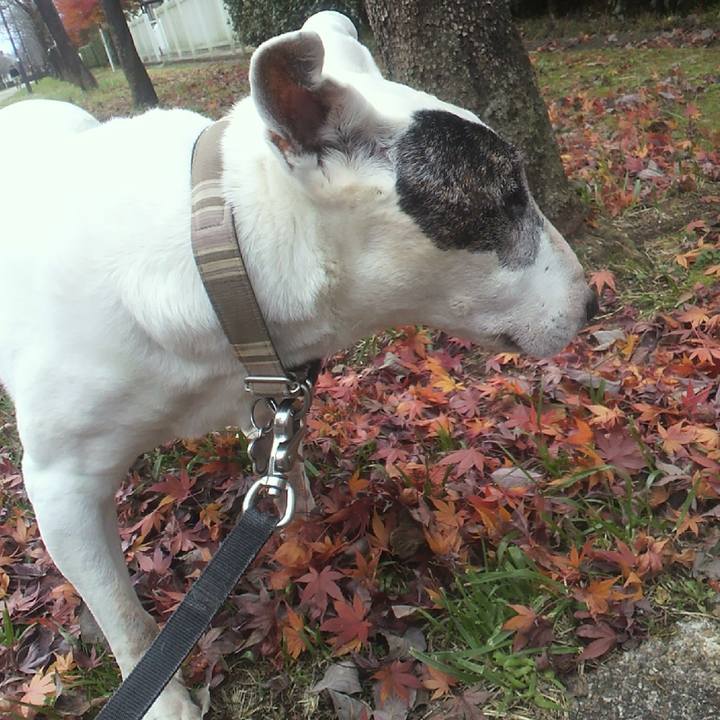 3150076e 3c77 4d3c a1a2 710256f06219