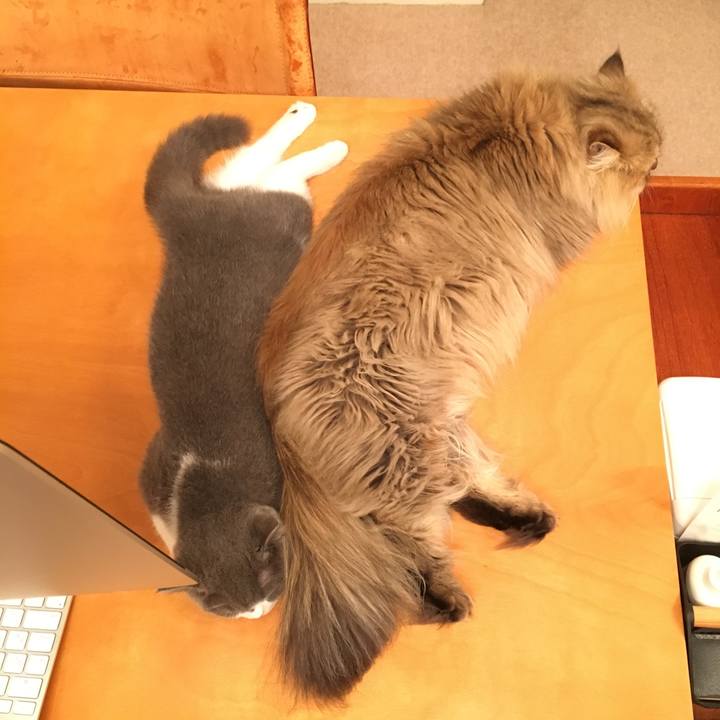 3150203c a2a4 4841 987e a3fe225be91d