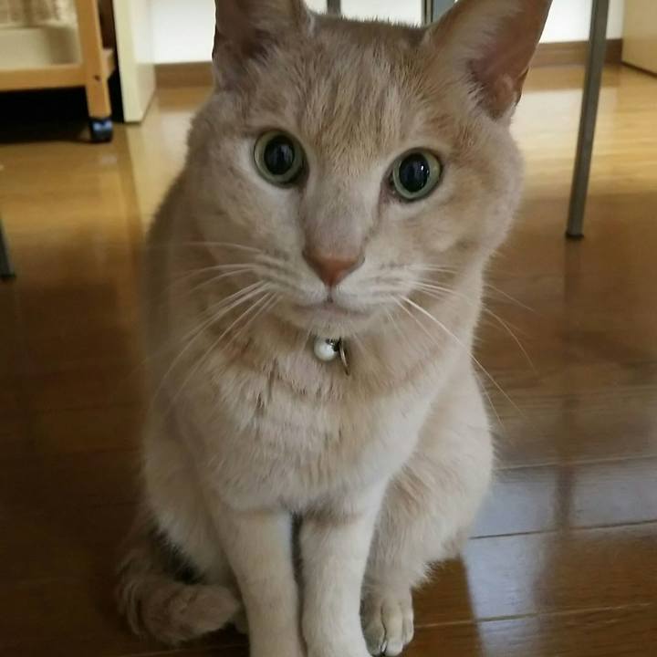 315090c9 f22b 439c a8dd ed3c6e10219d