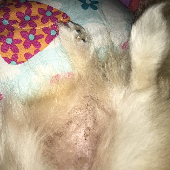 3150d9b6 c671 4706 8dd6 18b6ac48ef02