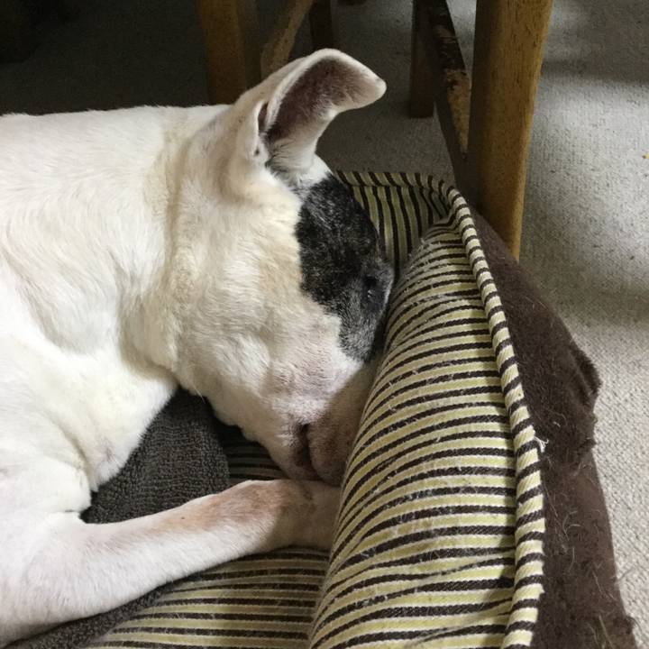 3150e540 bcfd 4803 9361 5269b3cf050f