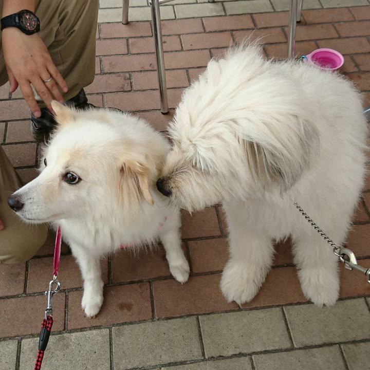 3150fe8b 2da9 4790 beb0 37e1b9ef2a00