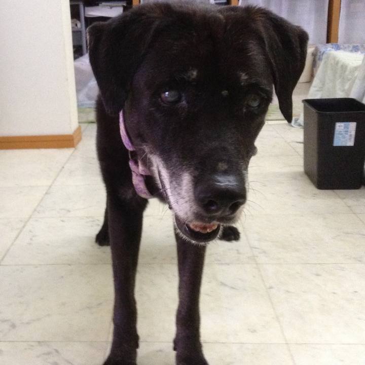 31511d00 cc86 481d a914 46ec55b44edf