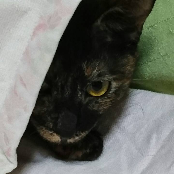 31512431 c8e9 4029 9aa5 ec980d44421f