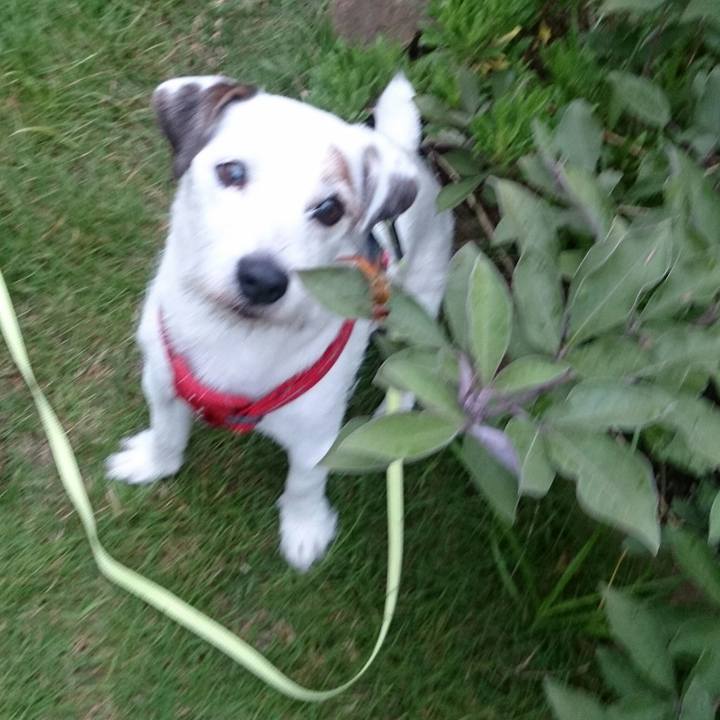 31524051 2917 41a4 ae67 380f979c9413