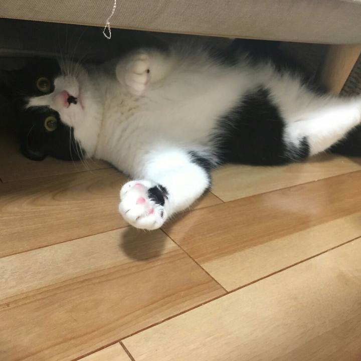 31524c3d ff13 41a7 a674 a935102d0bc1