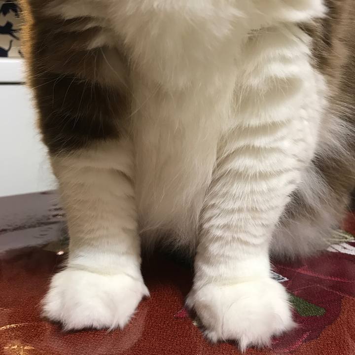 315340de 88db 4980 9daa 8fca91b0c5f3