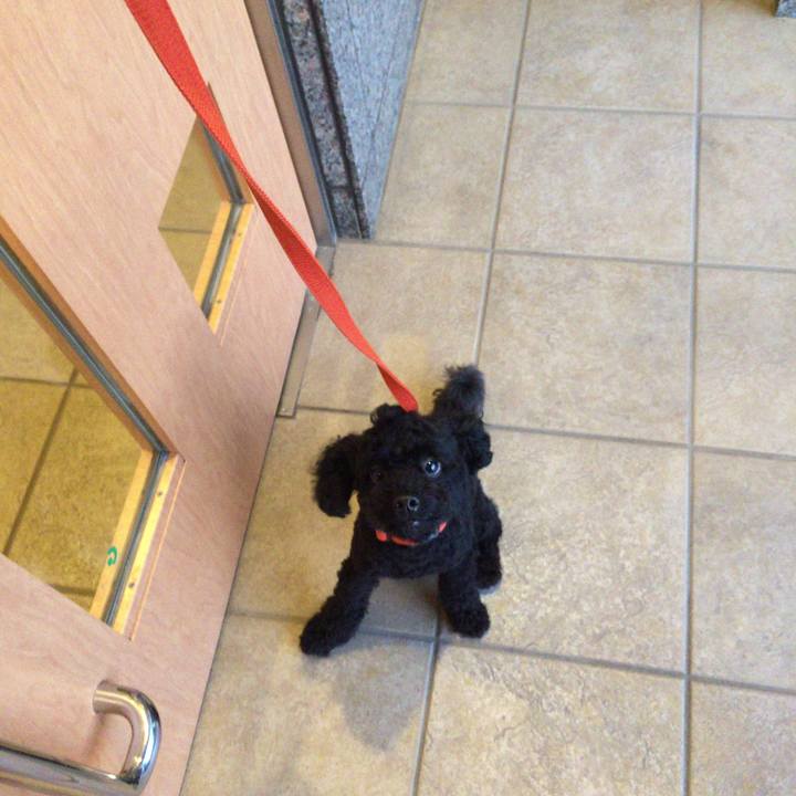 31540669 4f00 4be7 9385 3335126f0d38