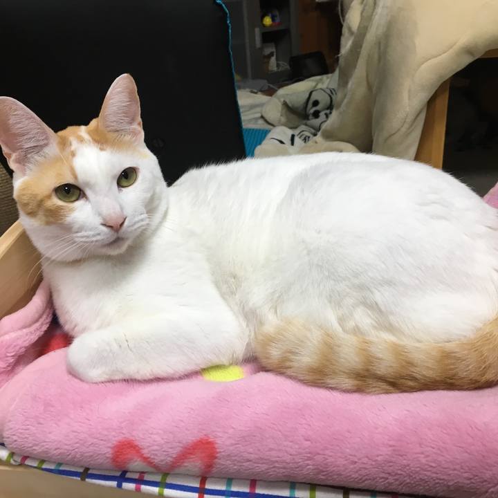 3154c129 696d 4f6a 9292 0df40a564179