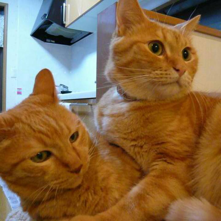 3154e17f 1d58 4da7 80d6 3dca6c995b2e