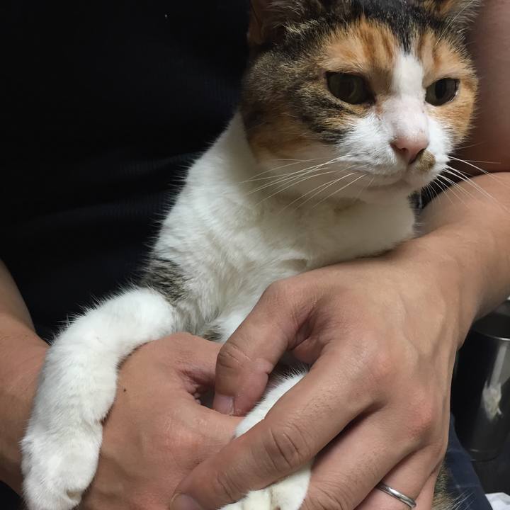 3155272d 12b5 4987 b7e7 980234e35957