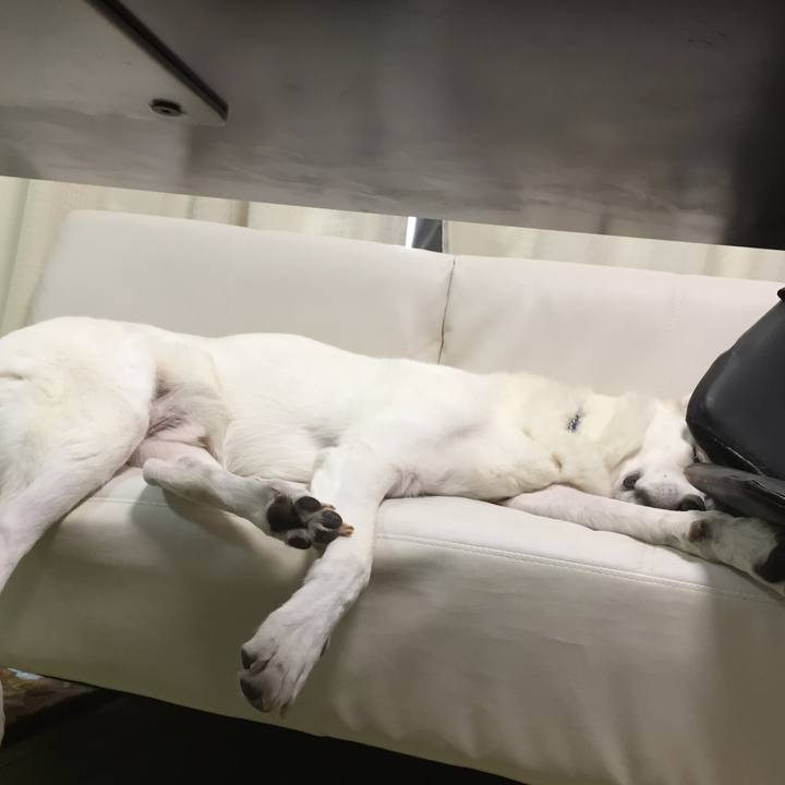 3155ecf3 73ac 4b4e a2bf 59f297af89be