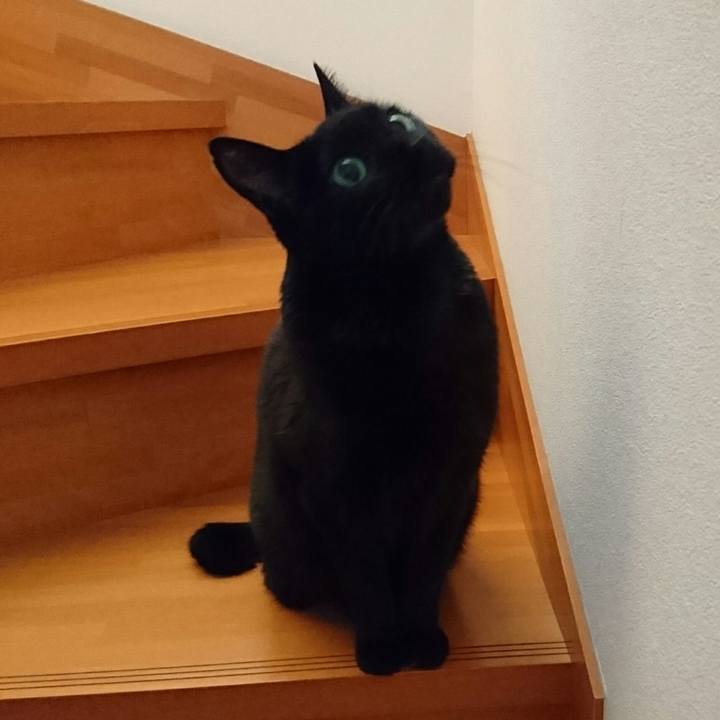 31561321 fecd 4b90 a9e3 e7019ac3a970