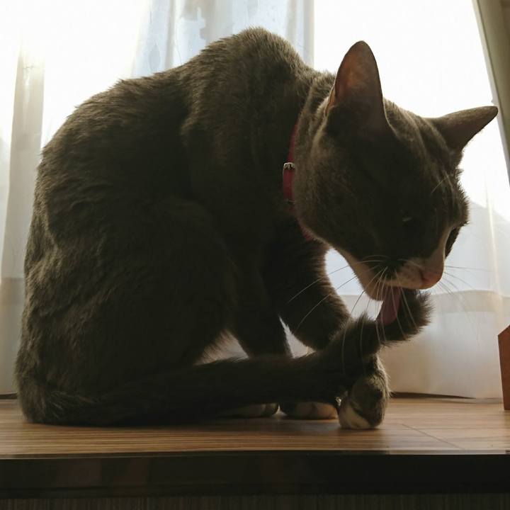 31569b27 cefa 4822 9bff 8df1871b9da7