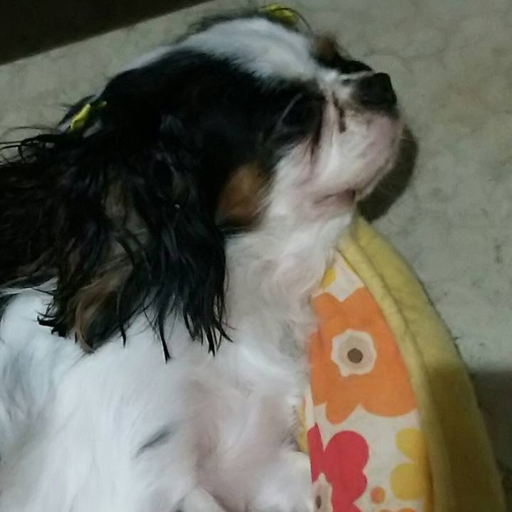 3156a336 df57 4cea 828f b56567f4d280