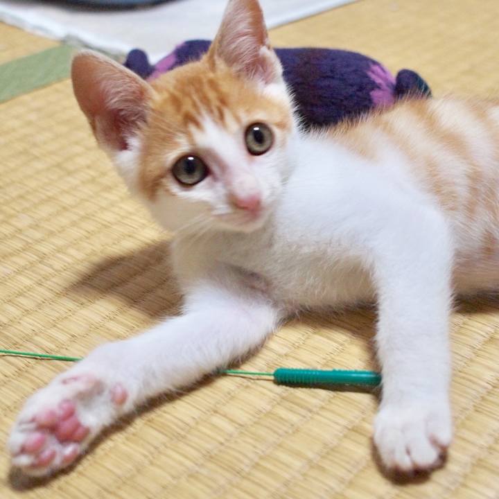 3156ab54 eb59 4597 9cf2 82fe3f7ed3e5